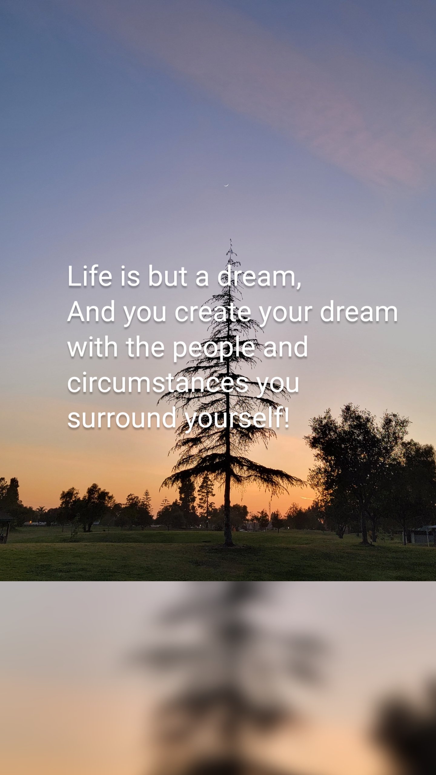 Life is but a dream, 
And you create your dream with the people and circumstances you surround yourself!